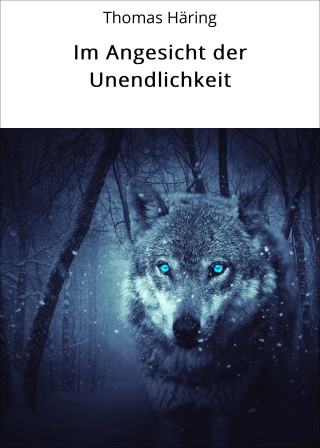 Thomas Häring: Im Angesicht der Unendlichkeit