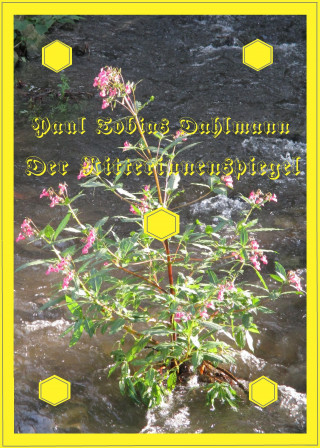 Paul Tobias Dahlmann: Der Ritterinnenspiegel