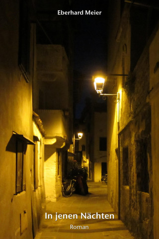 Eberhard Meier: In jenen Nächten