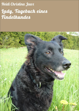 Heidi Christina Jaax: Lady, Tagebuch eines Findelhundes
