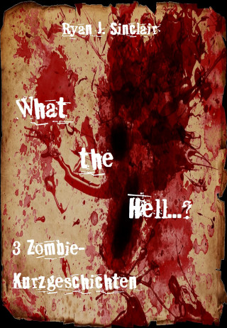 Ryan J. Sinclair: What the Hell... ?