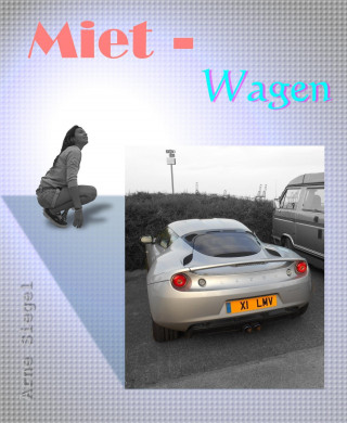 Arne Siegel: Miet - Wagen