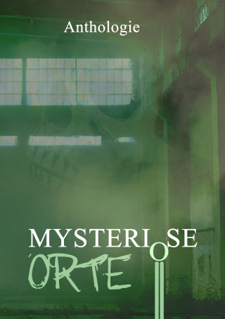 Tobias Habenicht, Daniel Huster, Julia A. Jorges, Oliver Borchers, Ruben Brüstle, Monika Grasl, Johannes Harstick, Oliver Henzler, Monique Kelbing, P.C. Thomas, Detlef Schirrow, Barbara Kloska, Inga Kess, Ilona Grüning: Mysteriöse Orte