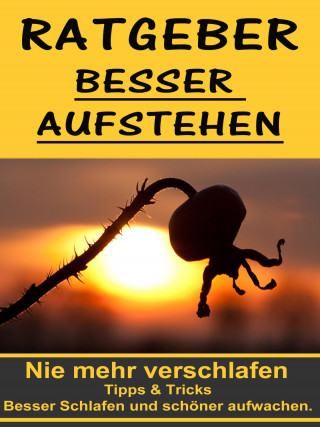 Nathan-Simon Freisingshof: Ratgeber besser aufstehen - Besser Schlafen und schöner aufwachen.