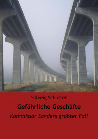 Solveig Schuster: Gefährliche Geschäfte