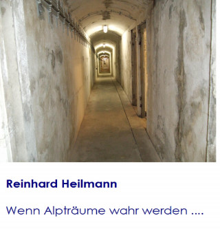 Reinhard Heilmann: Wenn Alpträume wahr werden ...