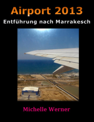 Michelle Werner: Airport 2013