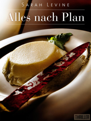 Sarah Levine: Alles nach Plan