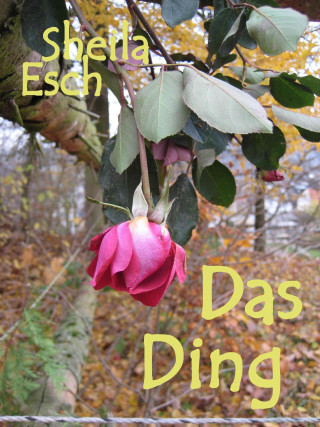 Sheila Esch: Das Ding