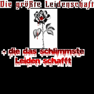 Juliet Hikari: Die größte Leidenschaft - die das schlimmste Leiden schafft