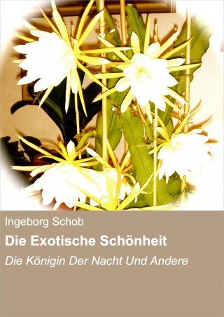 Ingeborg Schob: Die Exotische Schönheit