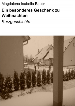 Magdalena Isabella Bauer: Ein besonderes Geschenk zu Weihnachten
