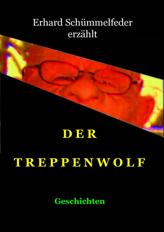 Erhard Schümmelfeder: Der Treppenwolf