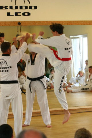 BUDO LEO: Ratgeber Kampfkunst