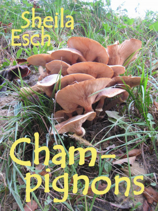 Sheila Esch: Champignons