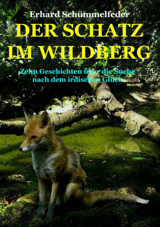 Erhard Schümmelfeder: DER SCHATZ IM WILDBERG
