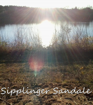 Cornelia Bienenstein-Hock: Sipplinger Sandale