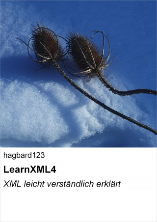 hagbard123: LearnXML4