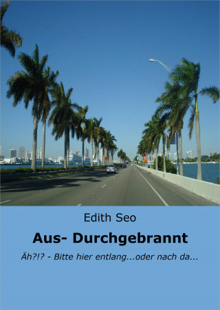 Edith Seo: Aus-/ Durchgebrannt