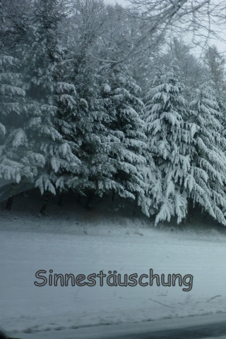 O. Trilling: Sinnestäuschung