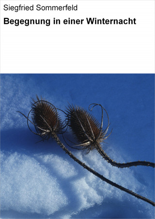 Siegfried Sommerfeld: Begegnung in einer Winternacht