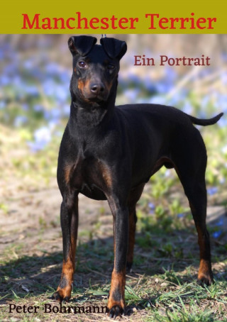 Peter Bohrmann: Manchester Terrier