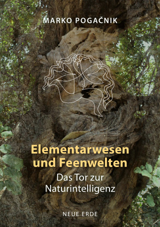 Marko Pogacnik: Elementarwesen und Feenwelten