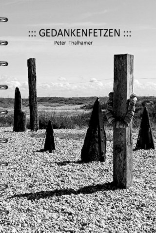 Peter Thalhamer: Gedankenfetzen