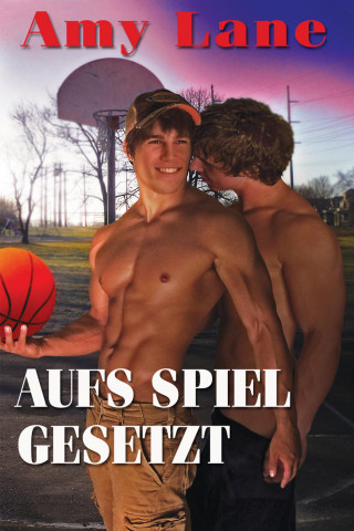 Amy Lane: Aufs Spiel gesetzt