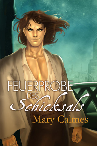 Mary Calmes: Feuerprobe des Schicksals