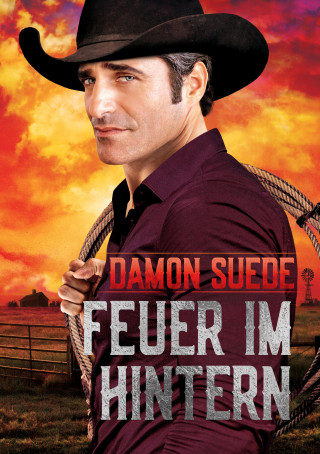 Damon Suede: Feuer im Hintern