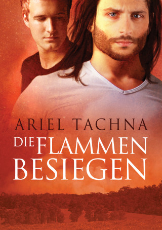 Ariel Tachna: Die Flammen besiegen