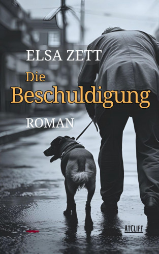 Elsa Zett: Die Beschuldigung