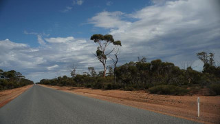 Brigitte Krack: über Nacht war alles anders