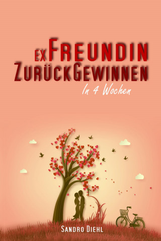Sandro Diehl: Ex Freundin zurückgewinnen in 4 Wochen