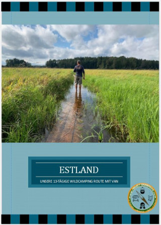Project VanDorphine: Camperspass in Estland