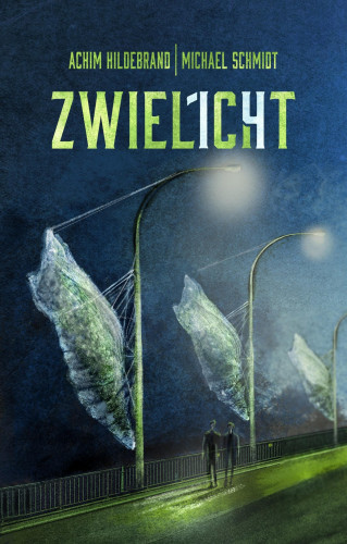 Achim Hildebrand: Zwielicht 14