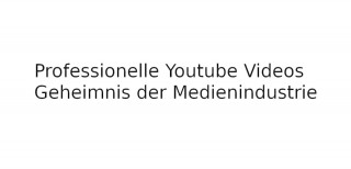 Dennis Michael Heine: Professionelle Youtube Videos