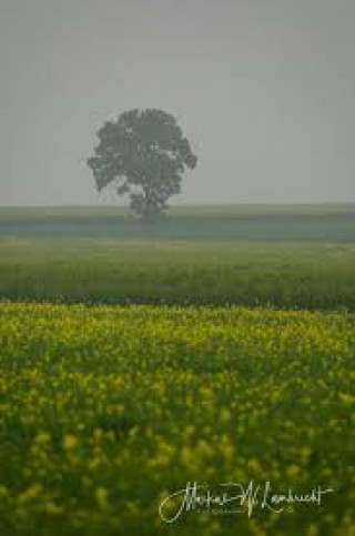 Loreen Mildner: 50 Geschichten zum Gruseln