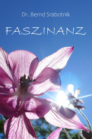 Bernd Srabotnik: Faszinanz