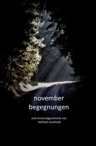 Helfried Stockhofe: Novemberbegegnungen