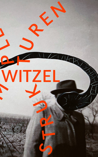 Frank Witzel: Komplexe Strukturen