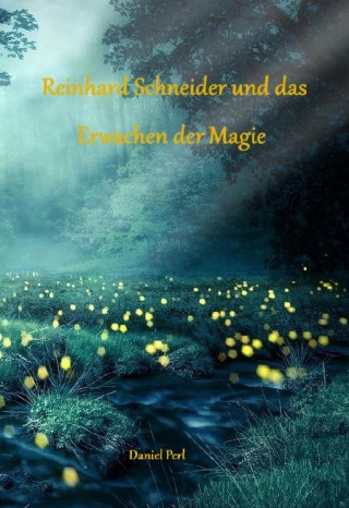 Daniel Perl: Reinhard Schneider und das Erwachen der Magie - Eine Zauberer Hexen Magier Fantasy Magic Zauberschule Nürnberg Geschichte