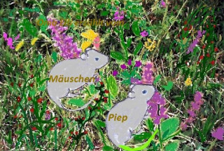 Elli Manteuffel: Mäuschen Piep