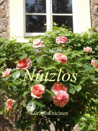 Ilka Scheidgen: Nutzlos