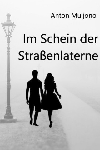 Anton Muljono: Im Schein der Straßenlaterne