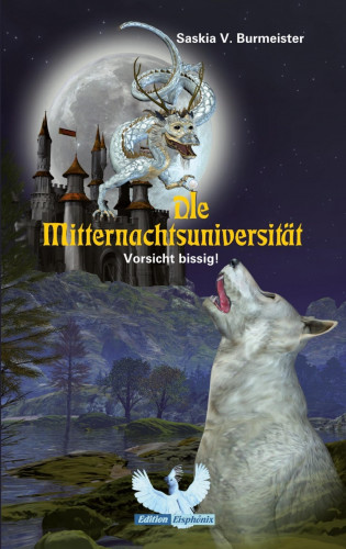 Saskia Burmeister: Die Mitternachtsuniversität