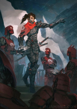 Ronny Heine: Widerstand ist zwecklos