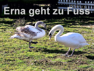 Dirk Bausch: Erna geht zu Fuss