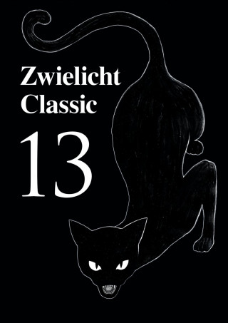 Michael Schmidt: Zwielicht Classic 13